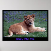 POSTER LION CUB (Devant)