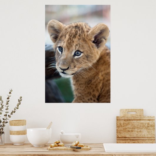 Poster Lion Cub (Cuisine)