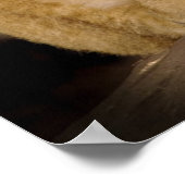 Poster Lion Cub (Coin)