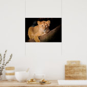 Poster Lion Cub (Cuisine)