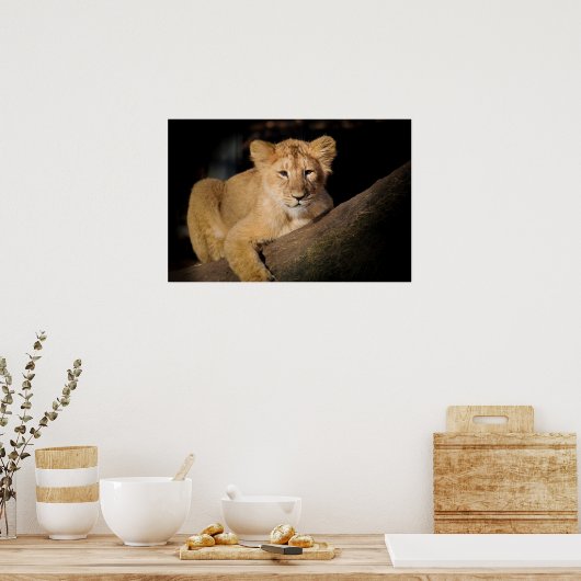 Poster Lion Cub (Cuisine)