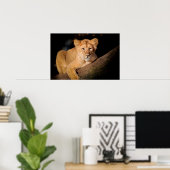Poster Lion Cub (Bureau à domicile)