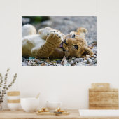 Poster Lion Cub 2 (Cuisine)