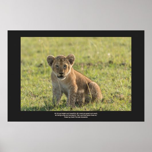 Poster Lion Cub En Milieu Naturel Personnaliser Le Texte (Devant)