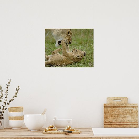 Poster Lion Cub Jouer (Cuisine)