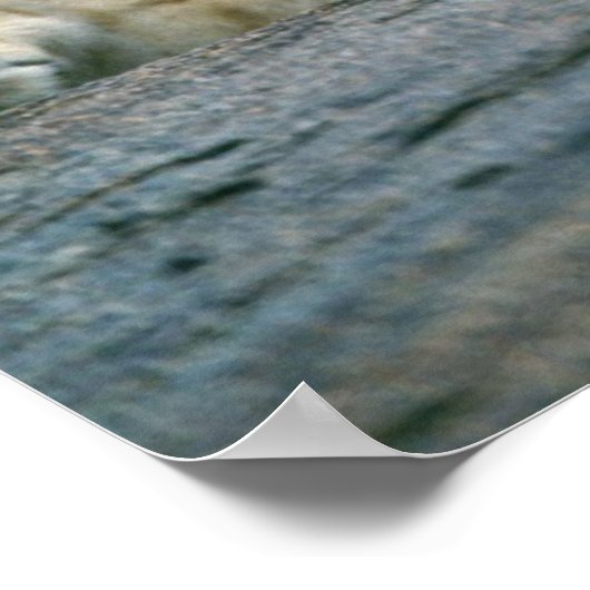 Poster Lion Cubs (Coin)