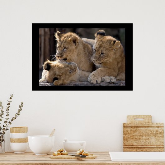 Poster Lion Cubs (Cuisine)