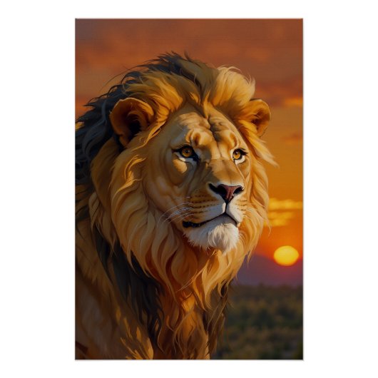 Poster Lion d'Afrique au coucher du soleil (Devant)