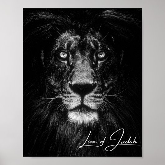 Poster Lion de Juda - Chrétien (Devant)