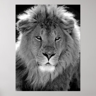 Poster Lion de leadership motivationnel noir et blanc