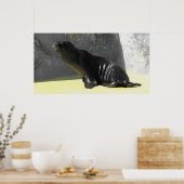 Poster Lion de mer (Cuisine)