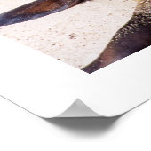 Poster Lion de mer relaxant les muscles du cou (Coin)