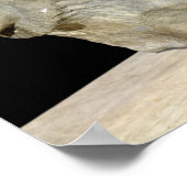 Poster Lion de Miletus (Coin)