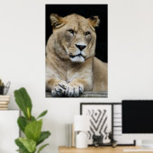 Poster Lion de montagne (Bureau à domicile)