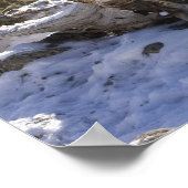 Poster Lion de montagne (Coin)