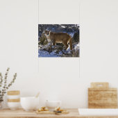 Poster Lion de montagne (Cuisine)