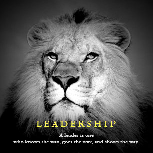 Posters Affiches Toiles Lion Noir Zazzle Be