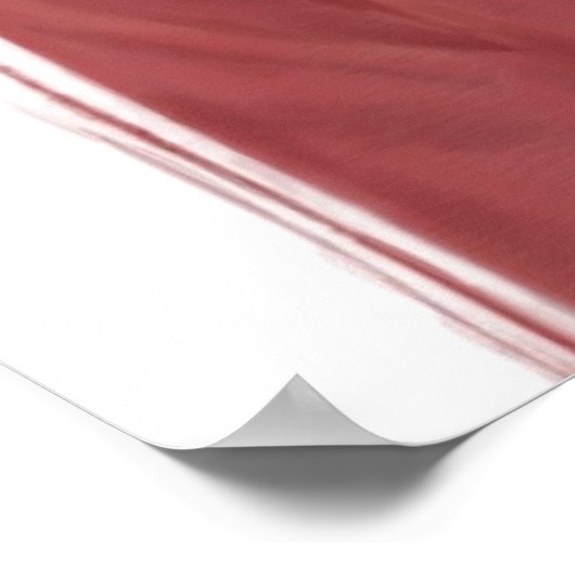 Poster Lion de père Noël (Coin)