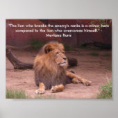 Poster Lion - Devis (Devant)