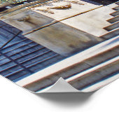 Poster Lion du Chicago Art Institute (Coin)