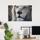 Poster Lion écoute mon pouls Afrique (Bureau à domicile)