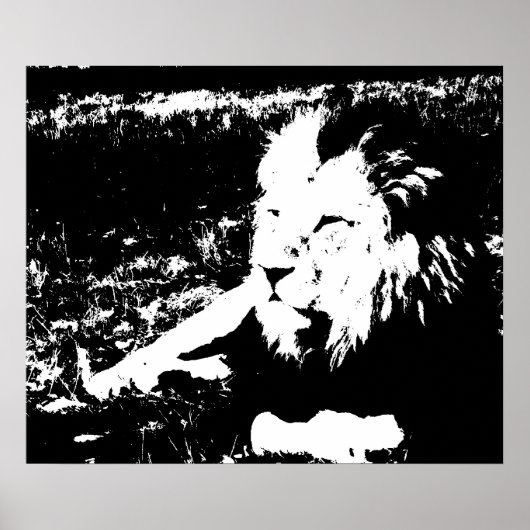 Poster Lion en noir et blanc (Devant)