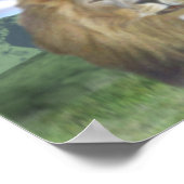 Poster Lion et agneau (Coin)