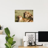Poster Lion et Lion (Bureau à domicile)