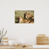 Poster Lion et Lion (Cuisine)