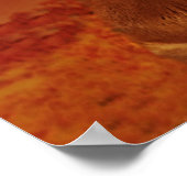 Poster Lion et Lion 24" x 24", papier d'affiche de valeur (Coin)