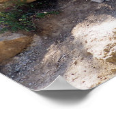 Poster Lion et lionne marchant sur les rochers (Coin)