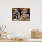 Poster Lion et lionne marchant sur les rochers (Cuisine)