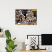 Poster Lion et lionne marchant sur les rochers (Bureau à domicile)