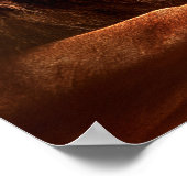 Poster Lion et petites filles (Coin)