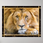 Poster Lion Face Closeup Bright Photo Imprimer l'affiche (Devant)