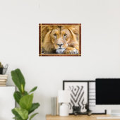 Poster Lion Face Photo (Bureau à domicile)