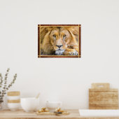Poster Lion Face Photo (Cuisine)