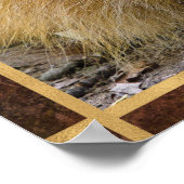 Poster Lion Face Photo (Coin)