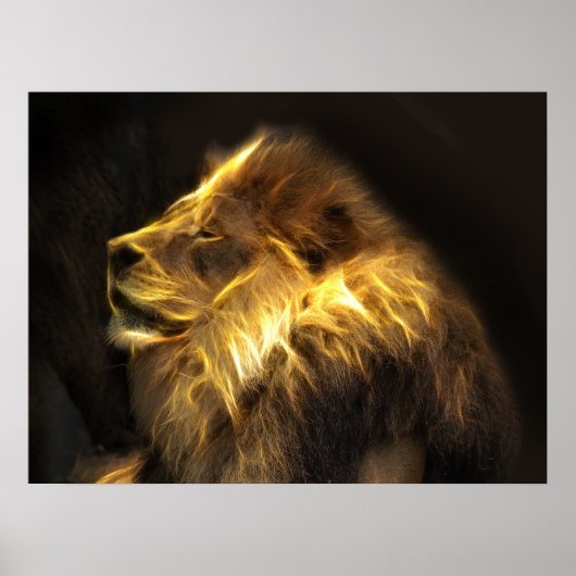 Poster Lion fractal (Devant)