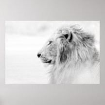 LION HOMME - NOIR ET BLANC