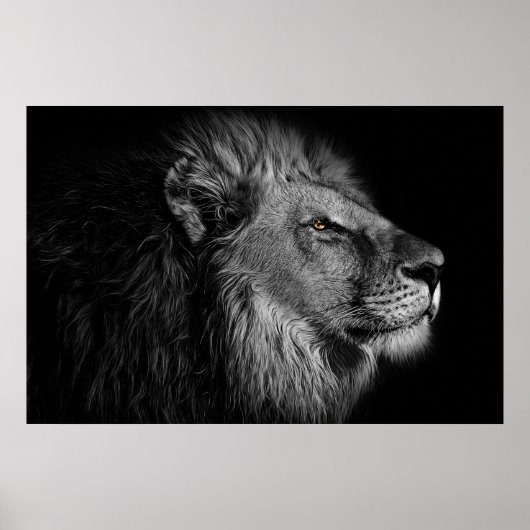 Poster Lion in black and white (Devant)