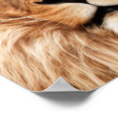 Poster Lion Le Roi Photo Peinture (Coin)