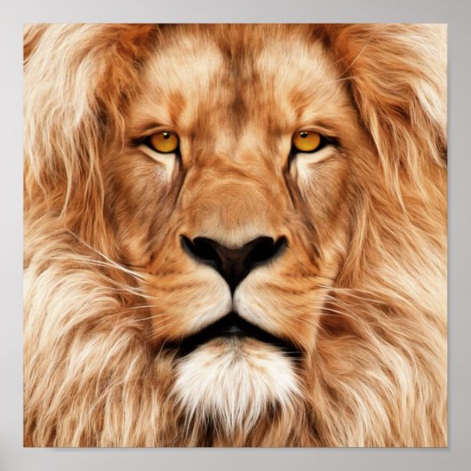 Poster Lion Le Roi Photo Peinture (Devant)