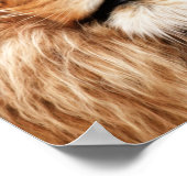 Poster Lion Le Roi Photo Peinture (Coin)