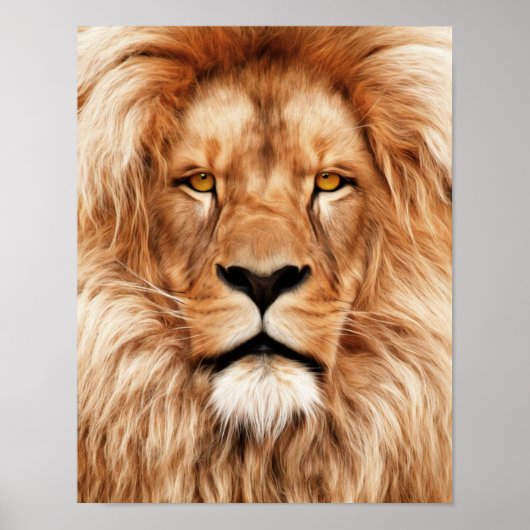 Poster Lion Le Roi Photo Peinture (Devant)