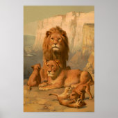 Poster Lion, lionne et petits (Devant)