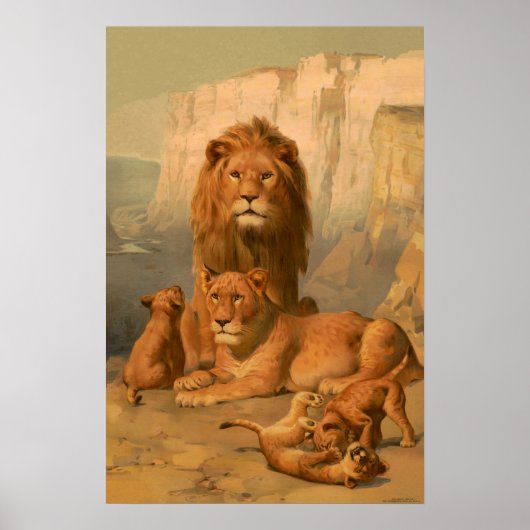 Poster Lion, lionne et petits (Devant)