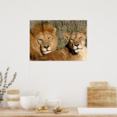 Poster Lion Love (Cuisine)