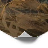 Poster Lion Majestic (Coin)