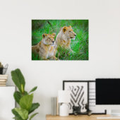 Poster Lion Mère et Fils pendent dans l'herbe au Botswana (Bureau à domicile)